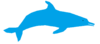Dolphin Clip Art
